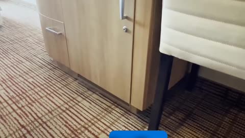 Balcony Partial View Cabin Overview | Celebrity Reflection