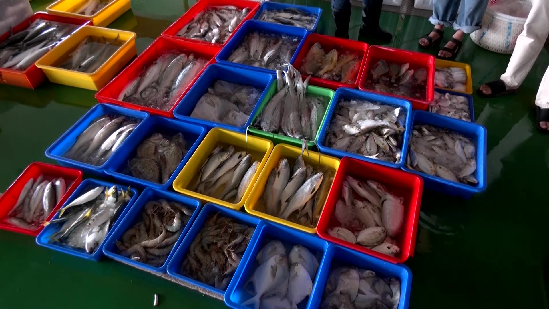 Taiwans drive for renewable energy troubles some fishing communities