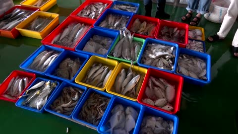 Taiwan's drive for renewable energy troubles some fishing communities
