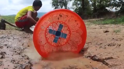 Fish Trapping System