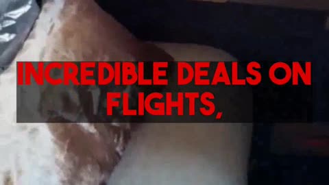 Unlock affordable Business Class & 5-Star Hotels DIY with Mighty Travels Premium!