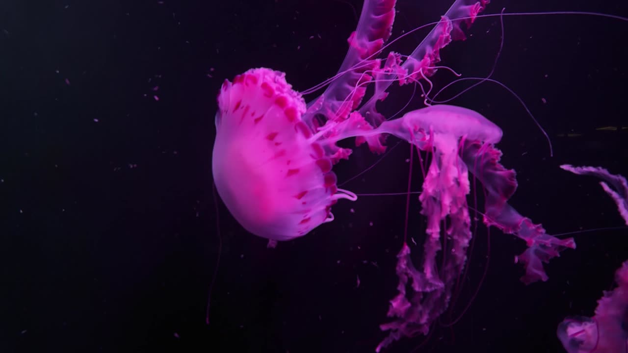 "To be the best, you must be able to handle the worst."