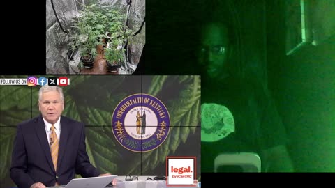 hemp plans