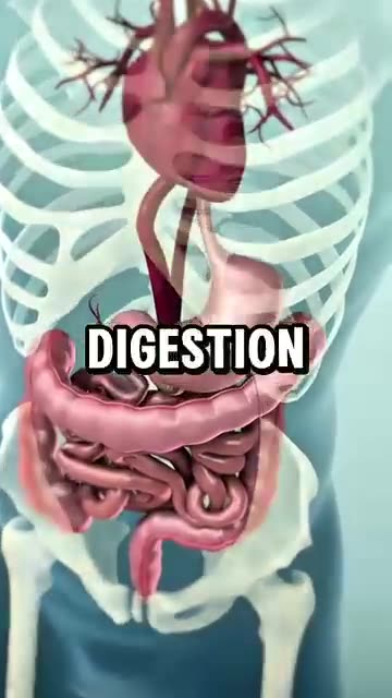 Benefits of Clove but taken the Correct way