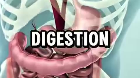 Benefits of Clove but taken the Correct way