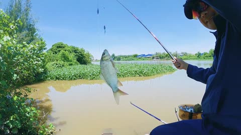Im Fluss der Träume Fische fangen #Flussfischen #Angelzeit #Naturverbunden