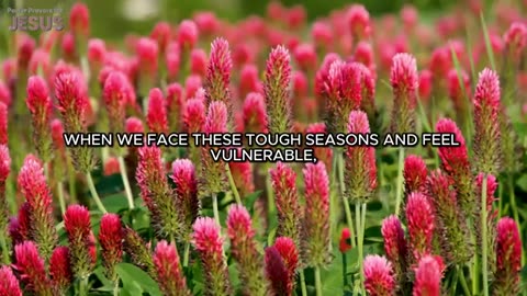 You Will See The Goodness of God: Psalm 27