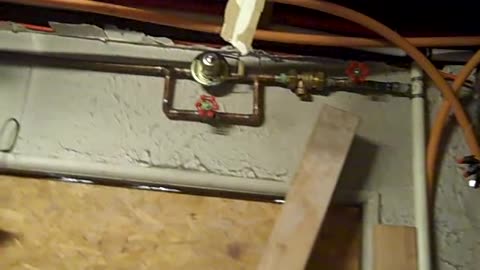 Ok, we finally made it back with the 100 gal tank for leroy shea show