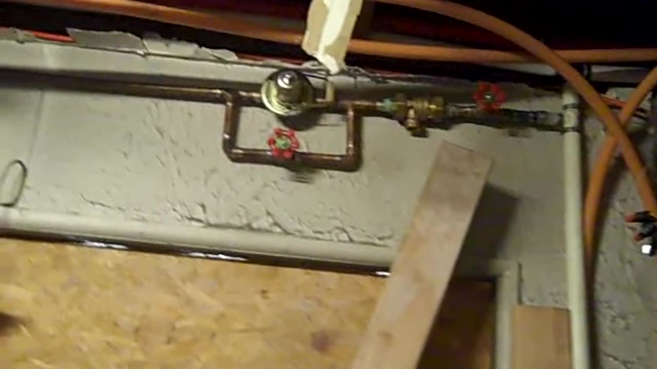 Ok, we finally made it back with the 100 gal tank for leroy shea show