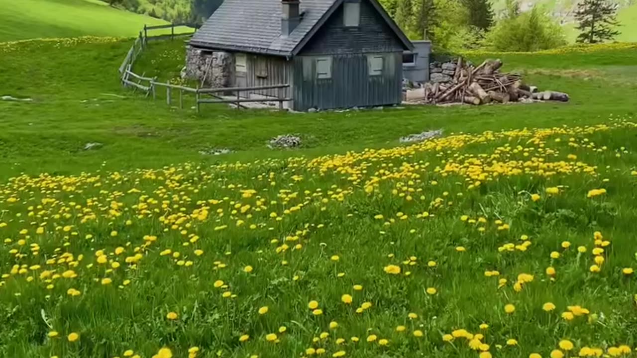 A Peaceful Life!!😇😍