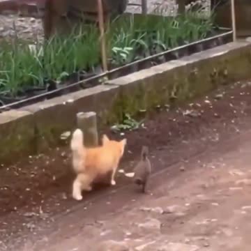 Just two best friends exploring the world together.. 😊