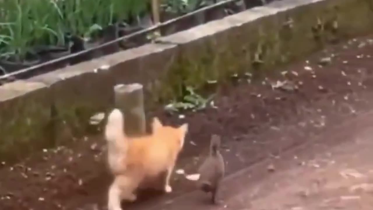 Just two best friends exploring the world together.. 😊