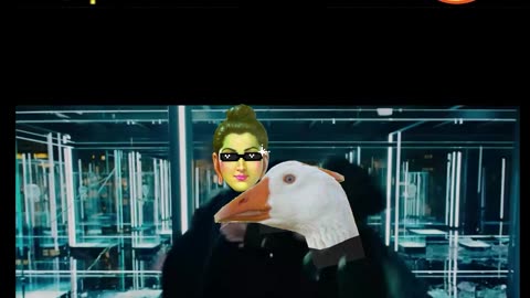 Buddha’s Finals Stand