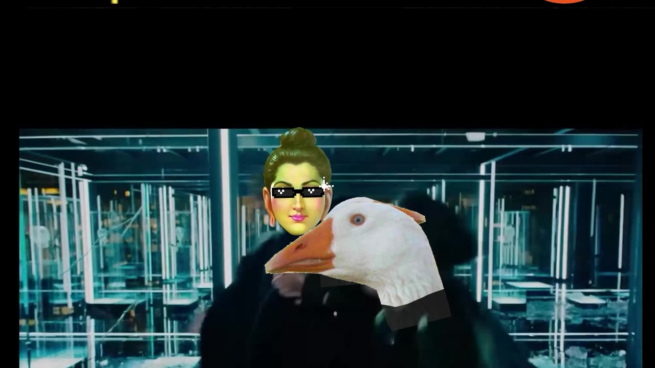 Buddha’s Finals Stand