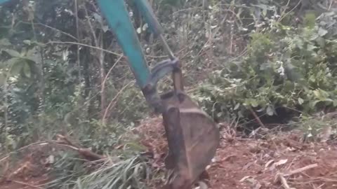 60-Sec Battle: USA Mountain Forest Cleanup! (Excavator POV)