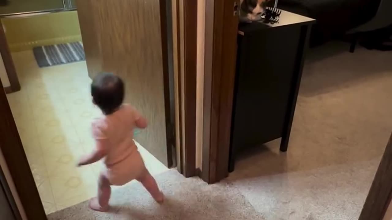 dog and cute baby are having fun