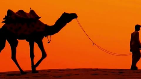 Sands of Morocco: Ride into the Magic
