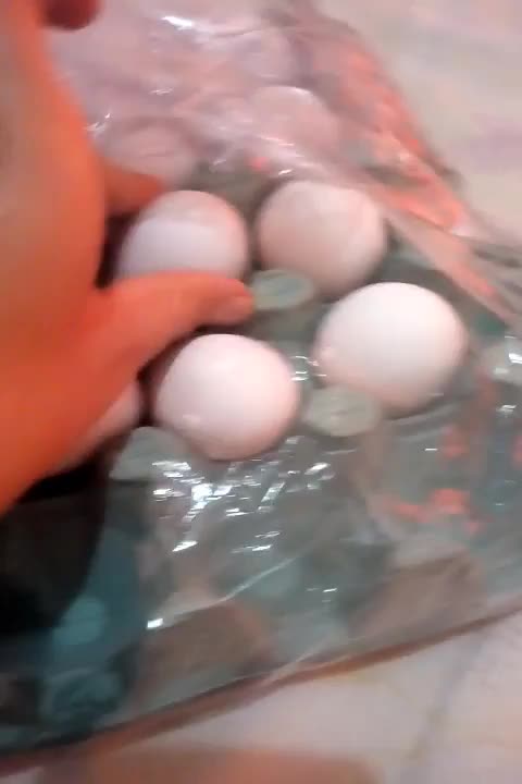 Under Watch: How church stasis Food Tampering Became a Tool of Psychological Manipulation