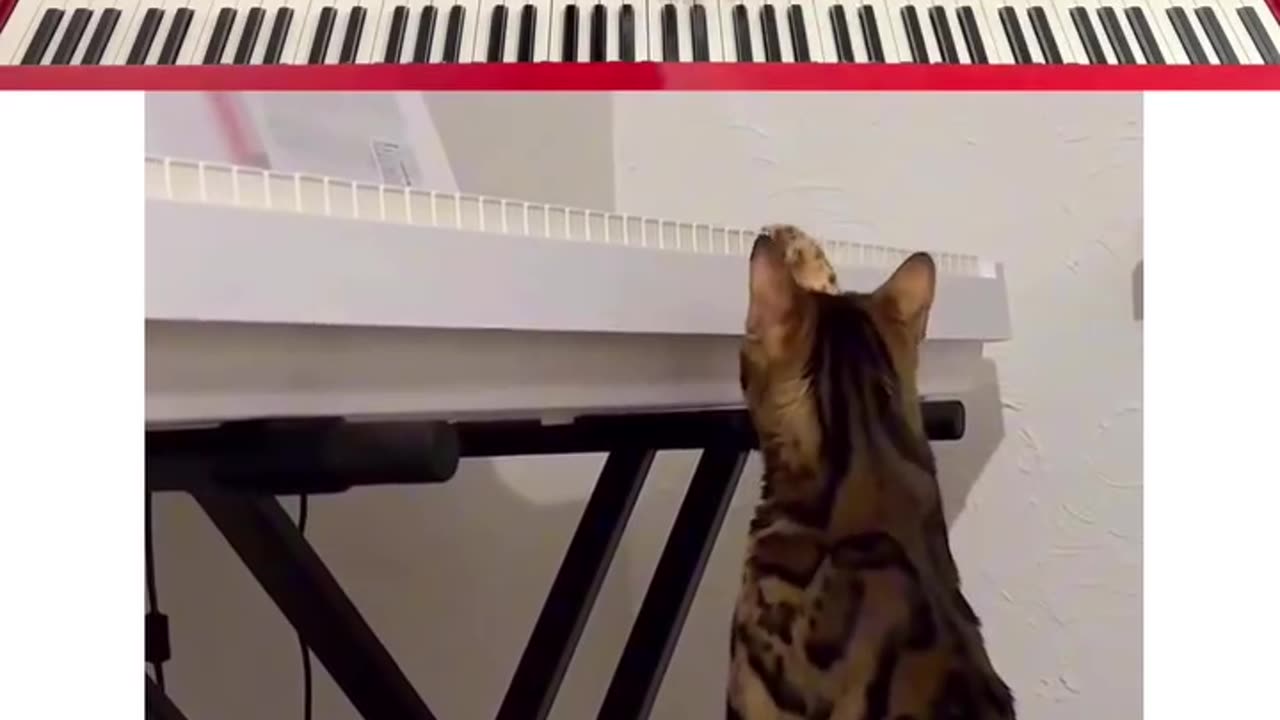 News Break