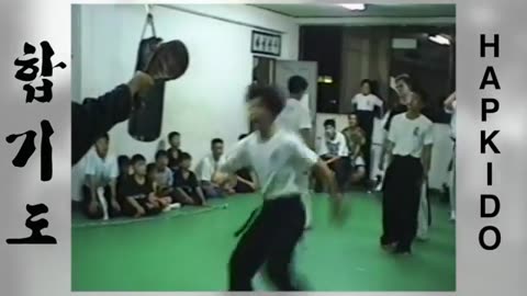 Hapkido