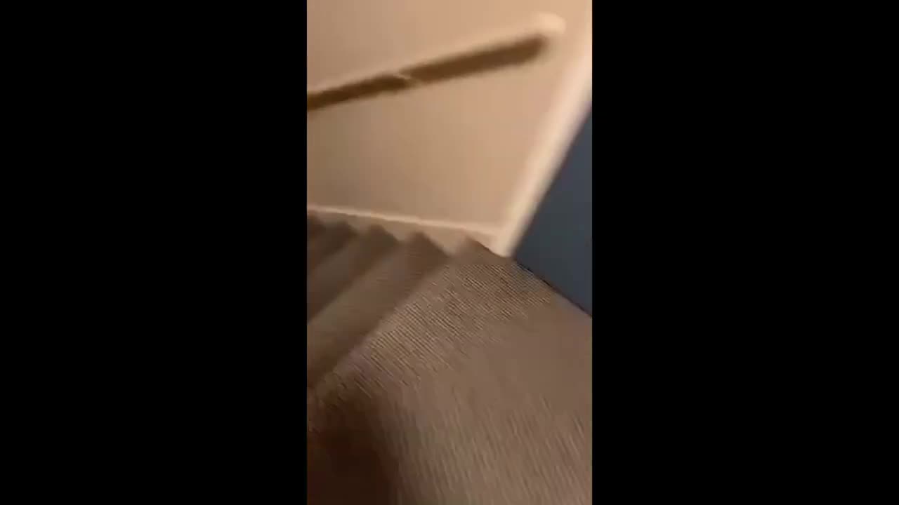 Daily Chaos #7 Impossible to not laugh edition