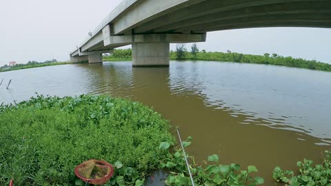 Crappie Trolling in Lake Brush Areas