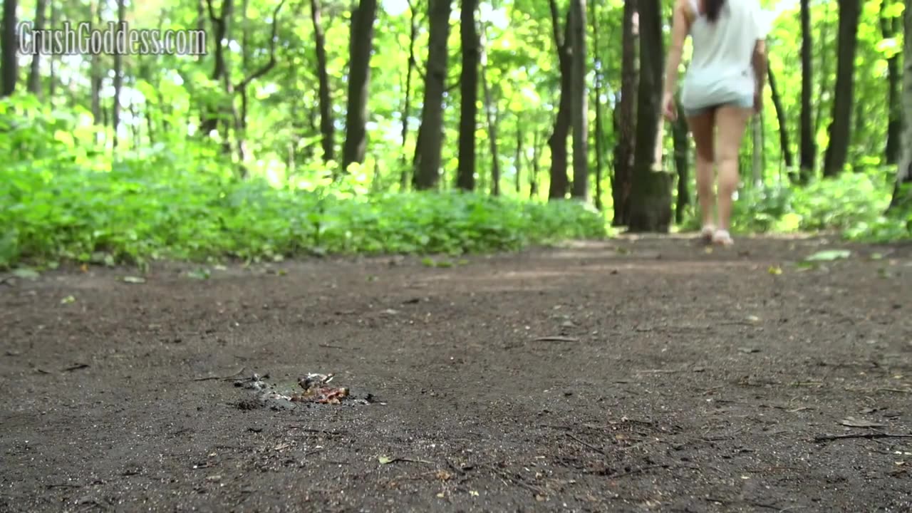 Park Crush