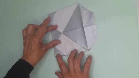How to Make a Housefly Origami | Easy Paper Insect Craft