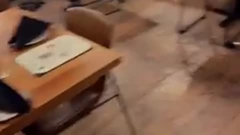 NIGGERS DESTROY THEIR OWN BUSINESSES GO BACK TO ZULU LAND