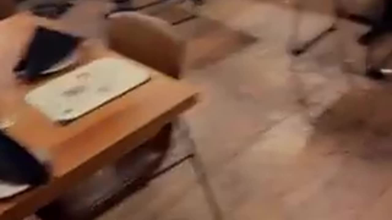 NIGGERS DESTROY THEIR OWN BUSINESSES GO BACK TO ZULU LAND