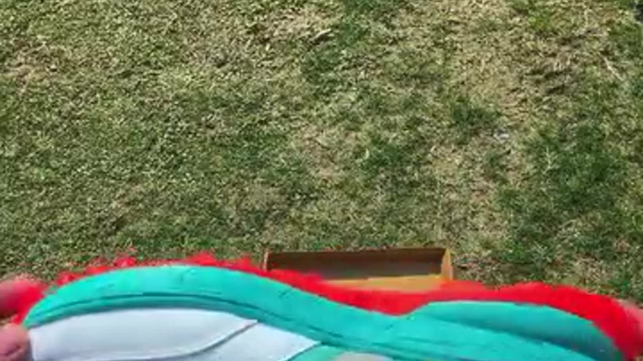 Heega Pegasus Cricket Shoes