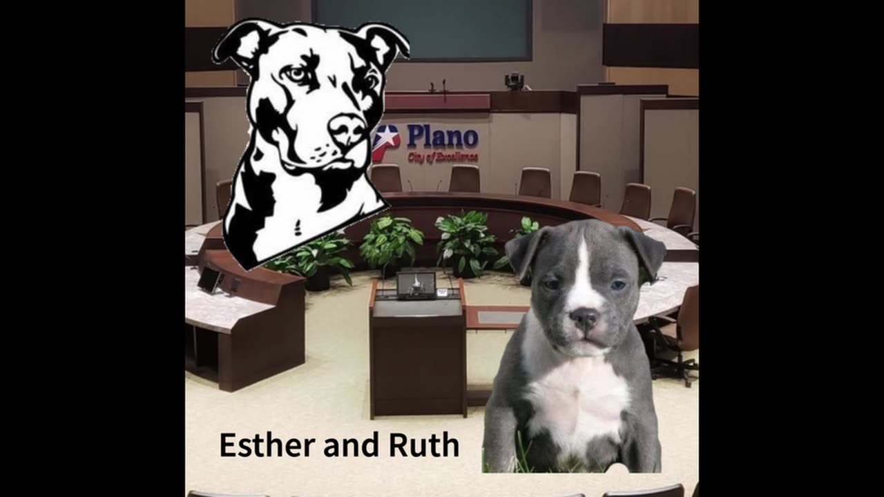 Episode 45: 1 Month Left For The TX Legislature And Plano's Losing Something