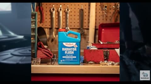 BlueDevil Products 00204 Radiator Flush - 1 Quart