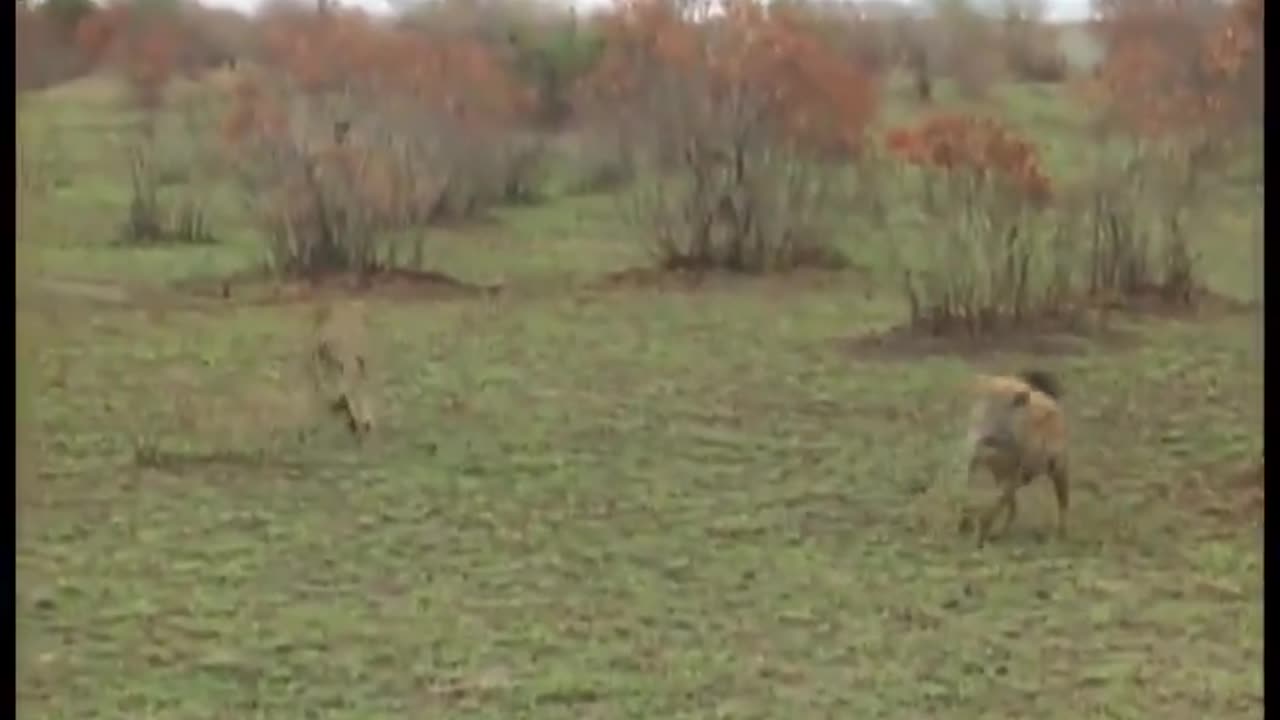 What Life lesson Did He Learn From This?!?