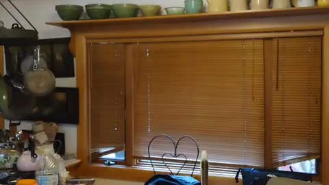 fatty demon pig - 2025 - YT - USA - November 21st or November 20th in USA part 001