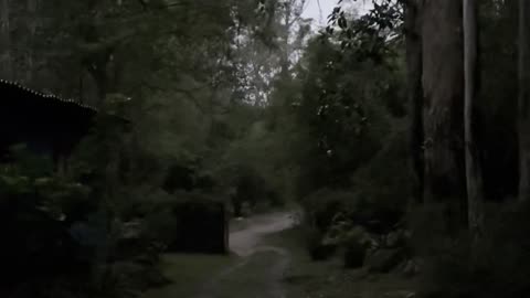 Naked in the middle of Brazil