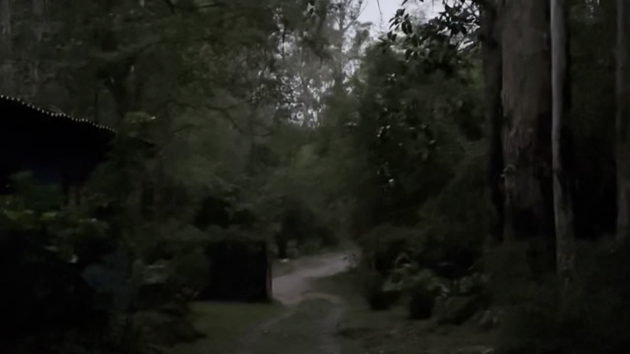 Naked in the middle of Brazil