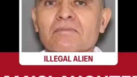 Criminal Illegal Aliens Arrested: Trump’s Interior Enforcement in Action!