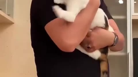 Littels Dog's Comedy Videos 🤣 so cute videos 😍 funny videos 🤣