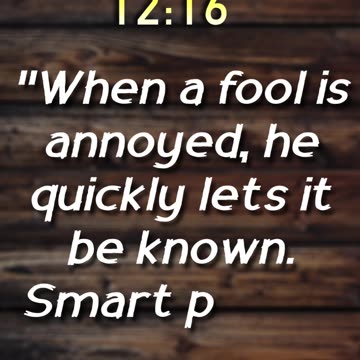 Proverbs 12:16 - How the Wise Respond to Insults