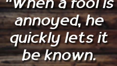 Proverbs 12:16 - How the Wise Respond to Insults