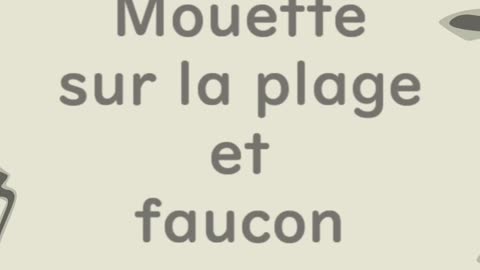 Mouette sur la plage et faucon - Huhito Fables-Version française Vol.20