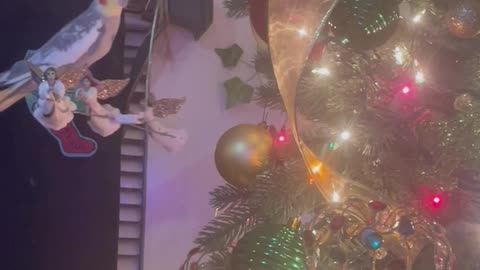 Cockatiel Cruising Around the Christmas Tree