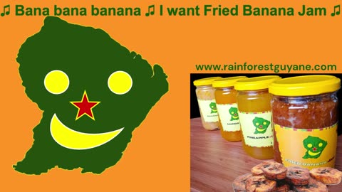 Rainforest Guyane