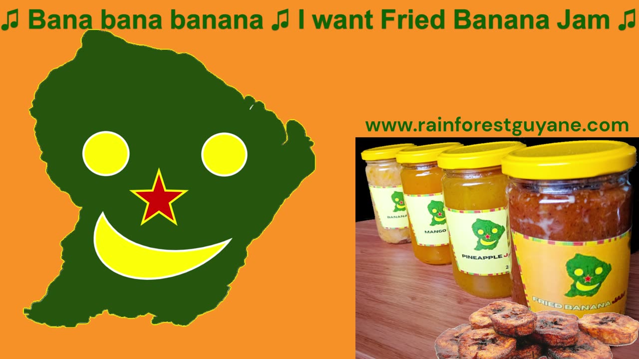Rainforest Guyane
