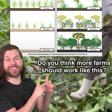 This guy in Brazil turned a dead rainforest back into a thriving farm forest!