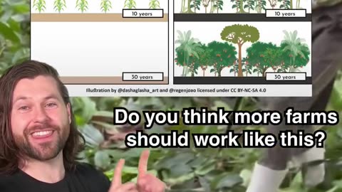 This guy in Brazil turned a dead rainforest back into a thriving farm forest!
