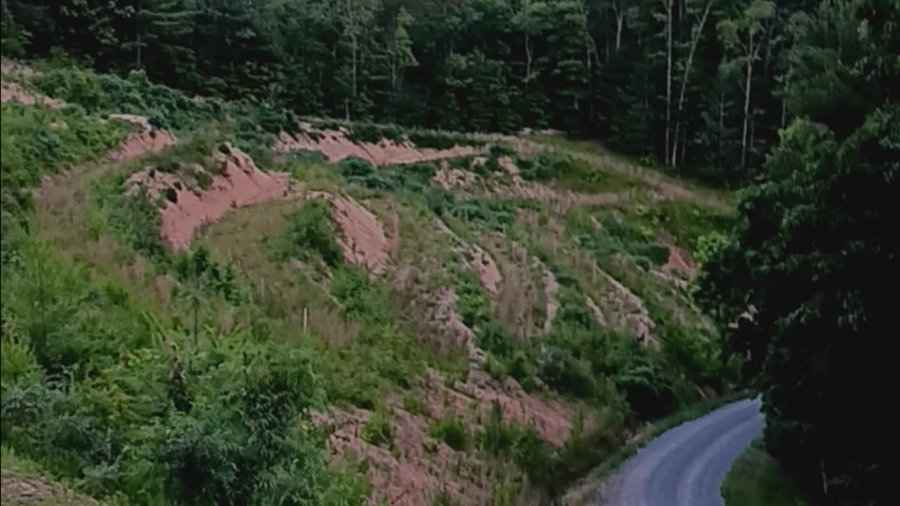 Side and front yard 1