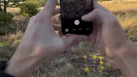 iPhone17 pro