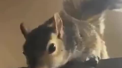 First Time Feeling